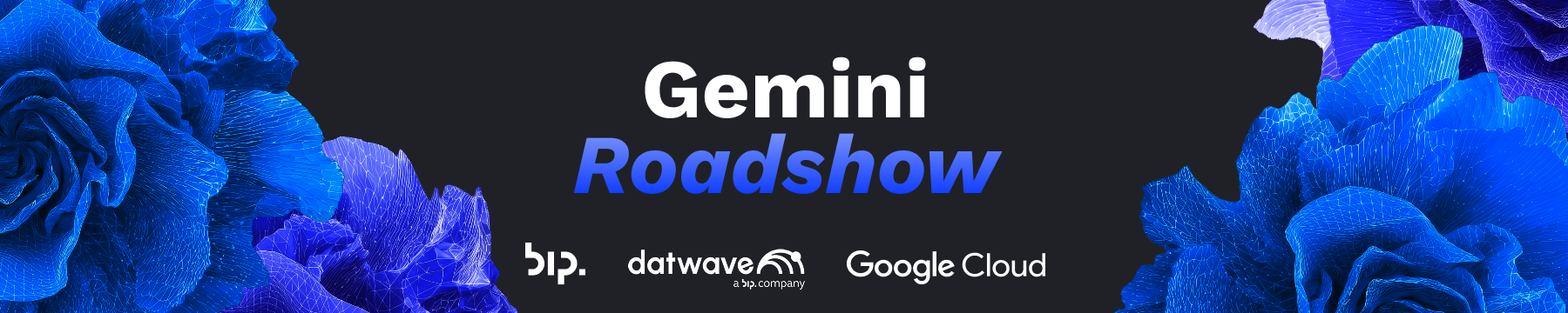 BANNER BLACK gemini roadshow